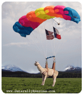 flying-llama